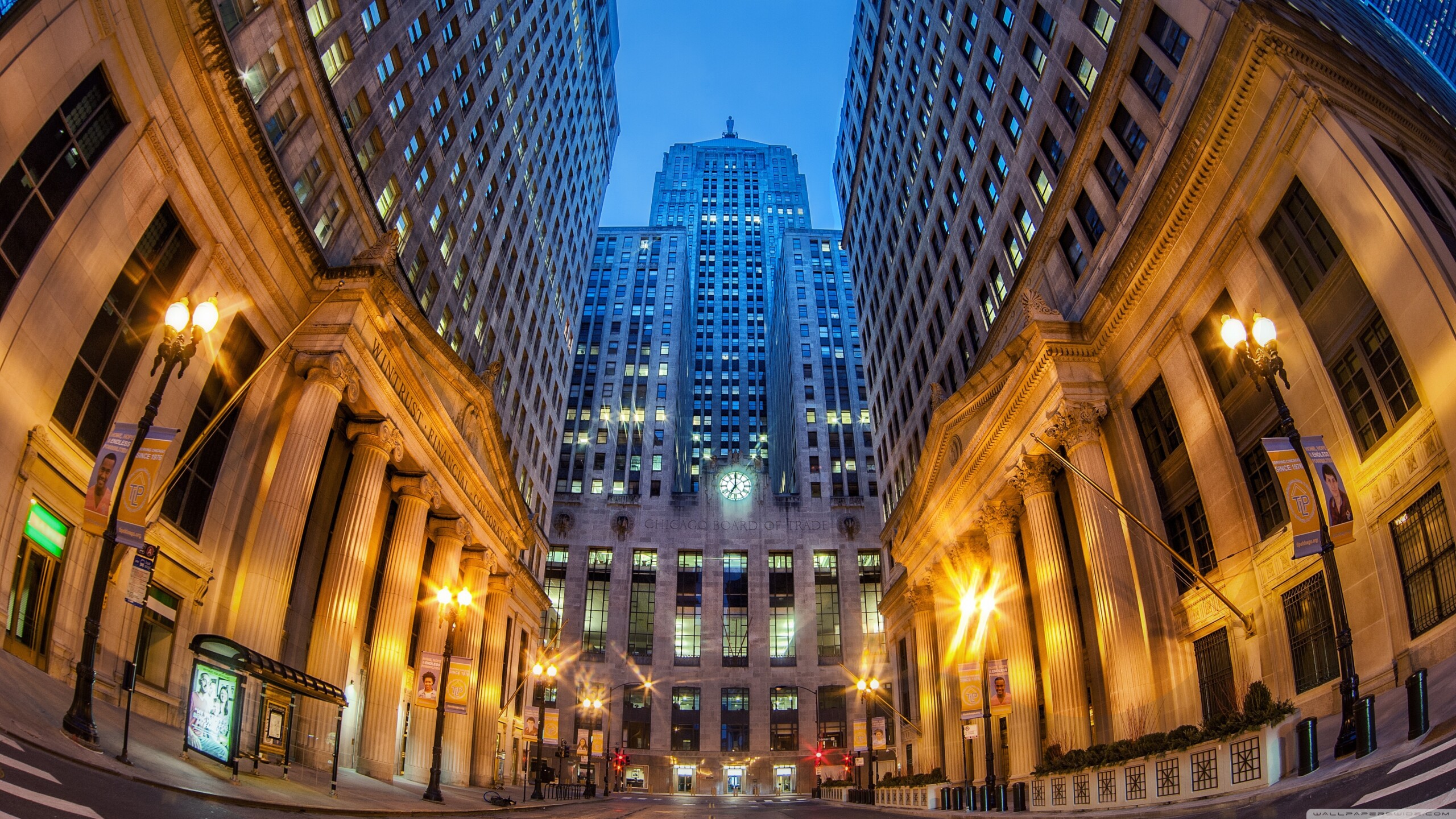 Alphacution Publishes “The Chicago Trading Company” Case Study