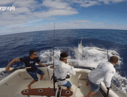 Hudson River Trading Finally Sets A Hook